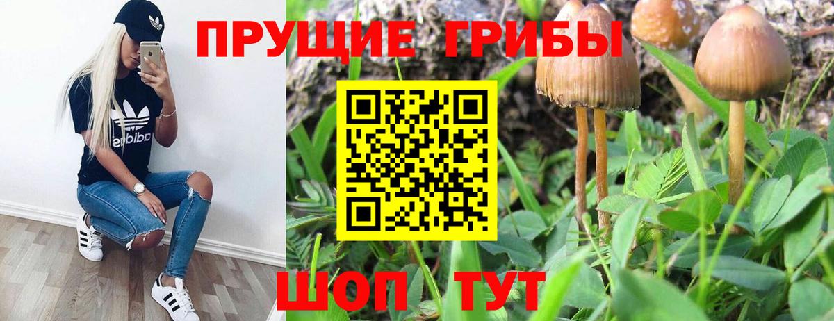 Галлюциногенные грибы GOLDEN TEACHER  Галлюциногенные грибы ЛСД  Тула  Вход с VPN 